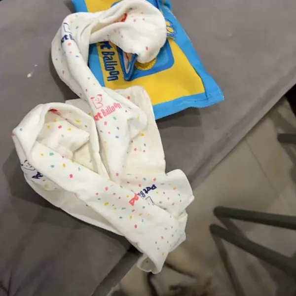 Foto recensione Annie - Tessuto di alta qualità, il mio cane lo adora