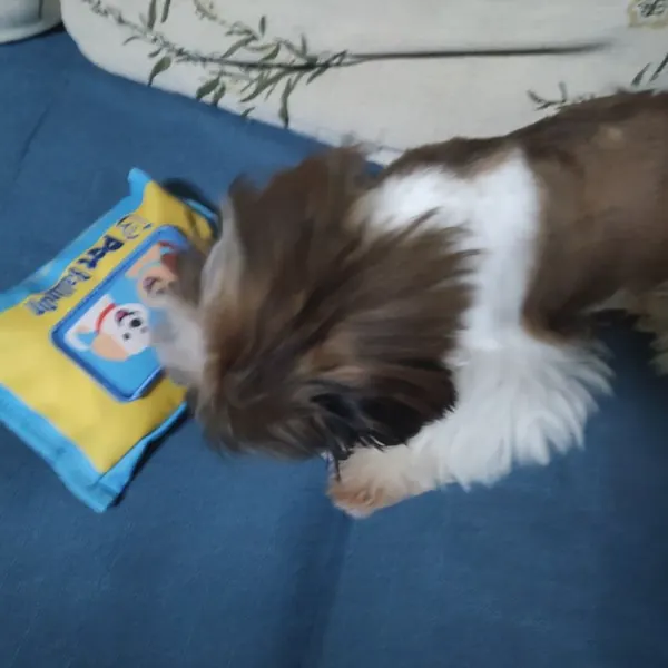 Foto recensione Cristina N. - Concentrato 15-20 minuti, addio noia