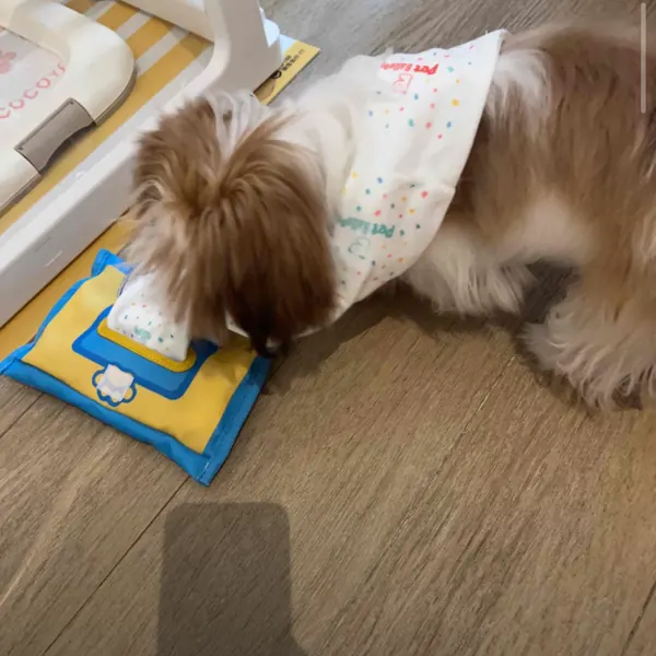 Foto recensione Cristina N. - Concentrato 15-20 minuti, addio noia