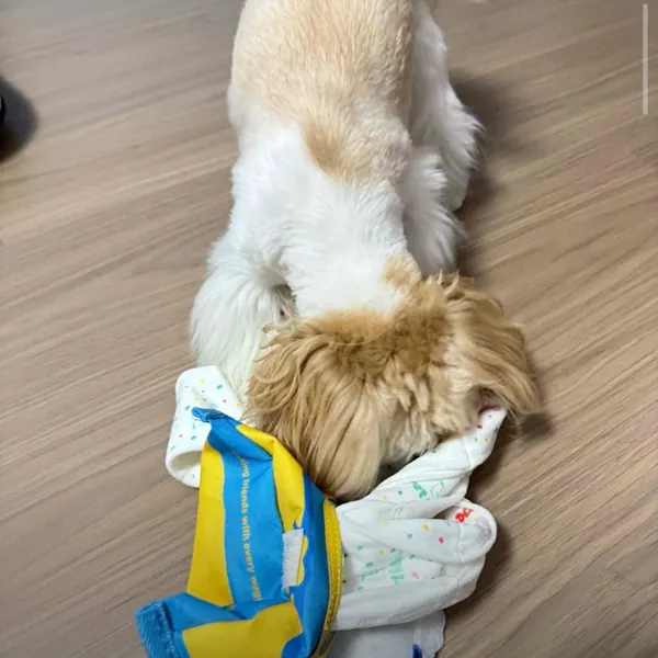 Foto recensione Edoardo S. - Rimedio perfetto contro la noia