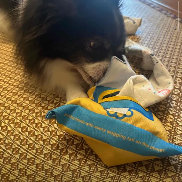 Foto recensione Elena H. - Dimensione perfetta per il momento del gioco