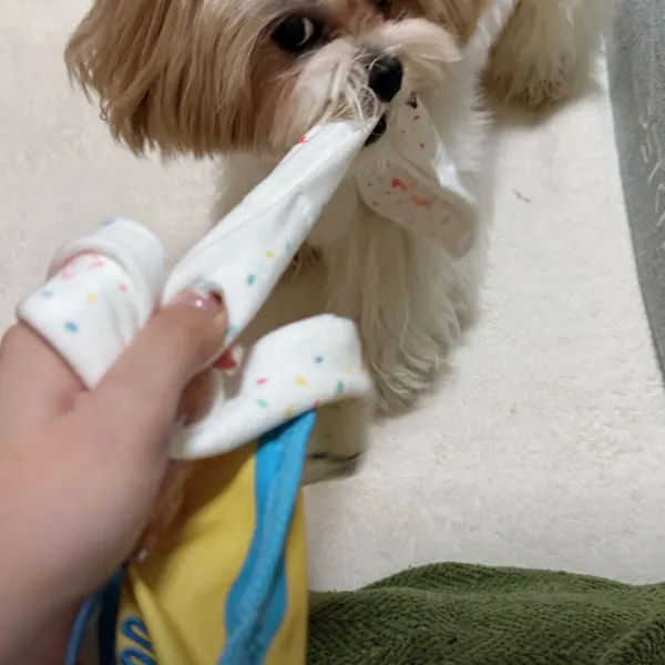 Foto recensione Paolo S. - Tessuto resistente, tasche ben fatte