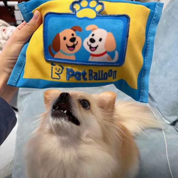 Foto recensione Silvia C. - Lo adora! Cuciture eccellenti