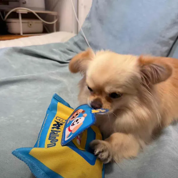 Foto recensione Silvia C. - Lo adora! Cuciture eccellenti