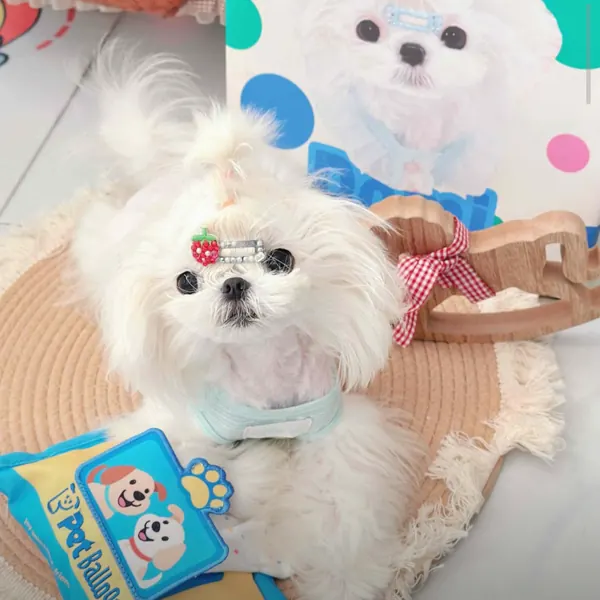 Foto recensione Stefania R. - Perfetto anche per la dentizione