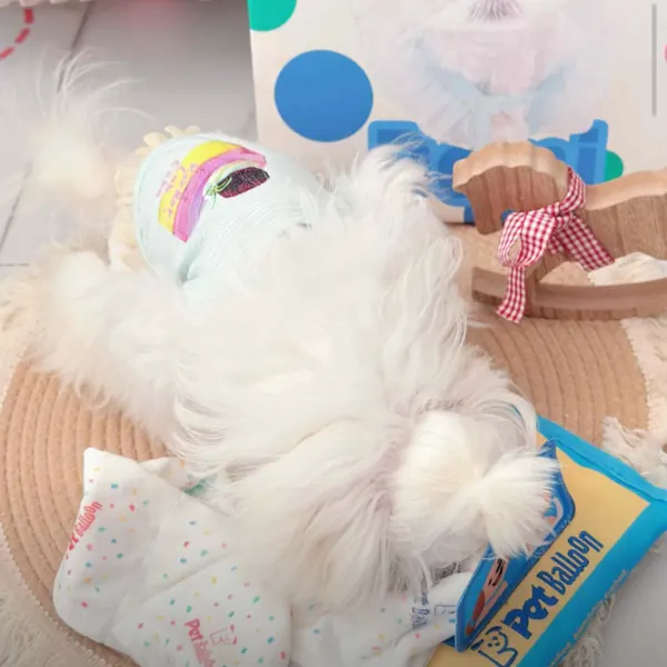 Foto recensione Stefania R. - Perfetto anche per la dentizione