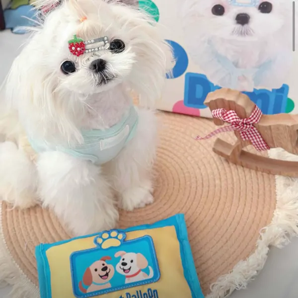 Foto recensione Stefania R. - Perfetto anche per la dentizione